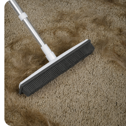 Betsy&Bristle™ Pet Hair Removal Broom 2.0